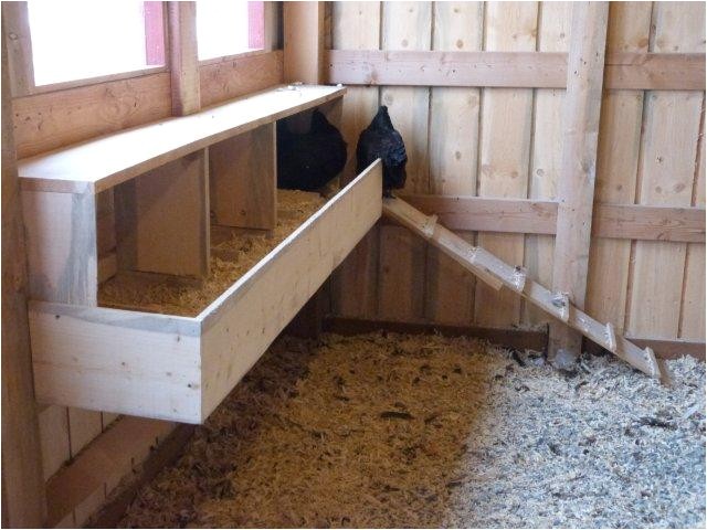 Chicken House Plans for 50 Chickens Chicken House Plans for 50 Chickens Chicken Coop Design Chicken House Plans for 50 Chickens Chicken House Plans for 50 Chickens Chicken Coop Design