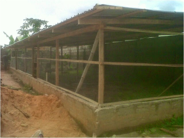 Commercial Chicken House Plans Poultry Farming In Kenya