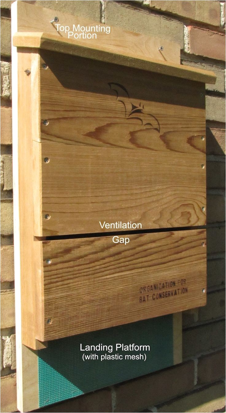 Easy Bat House Plans Easy Bat House Plans 28 Images Landowner S Guide Bats Easy Bat House Plans Easy Bat House Plans 28 Images Landowner S Guide Bats