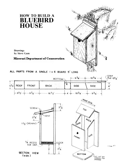 Easy to Build Bird House Plans Twin Bridges Nature Resort Bird Houses Craig 39 S Post Easy to Build Bird House Plans Twin Bridges Nature Resort Bird Houses Craig 39 S Post
