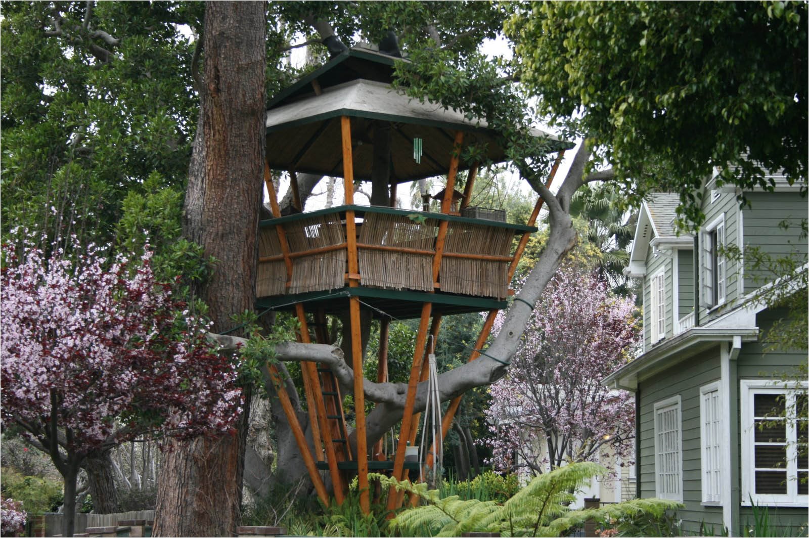 Home Tree House Plans 18 Amazing Tree House Designs Mostbeautifulthings Home Tree House Plans 18 Amazing Tree House Designs Mostbeautifulthings