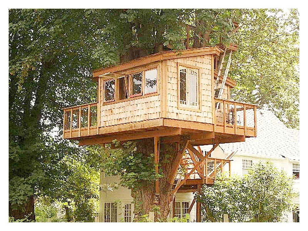 Home Tree House Plans Plans for A Tree House Luxury Brilliant Tree House Home Tree House Plans Plans for A Tree House Luxury Brilliant Tree House