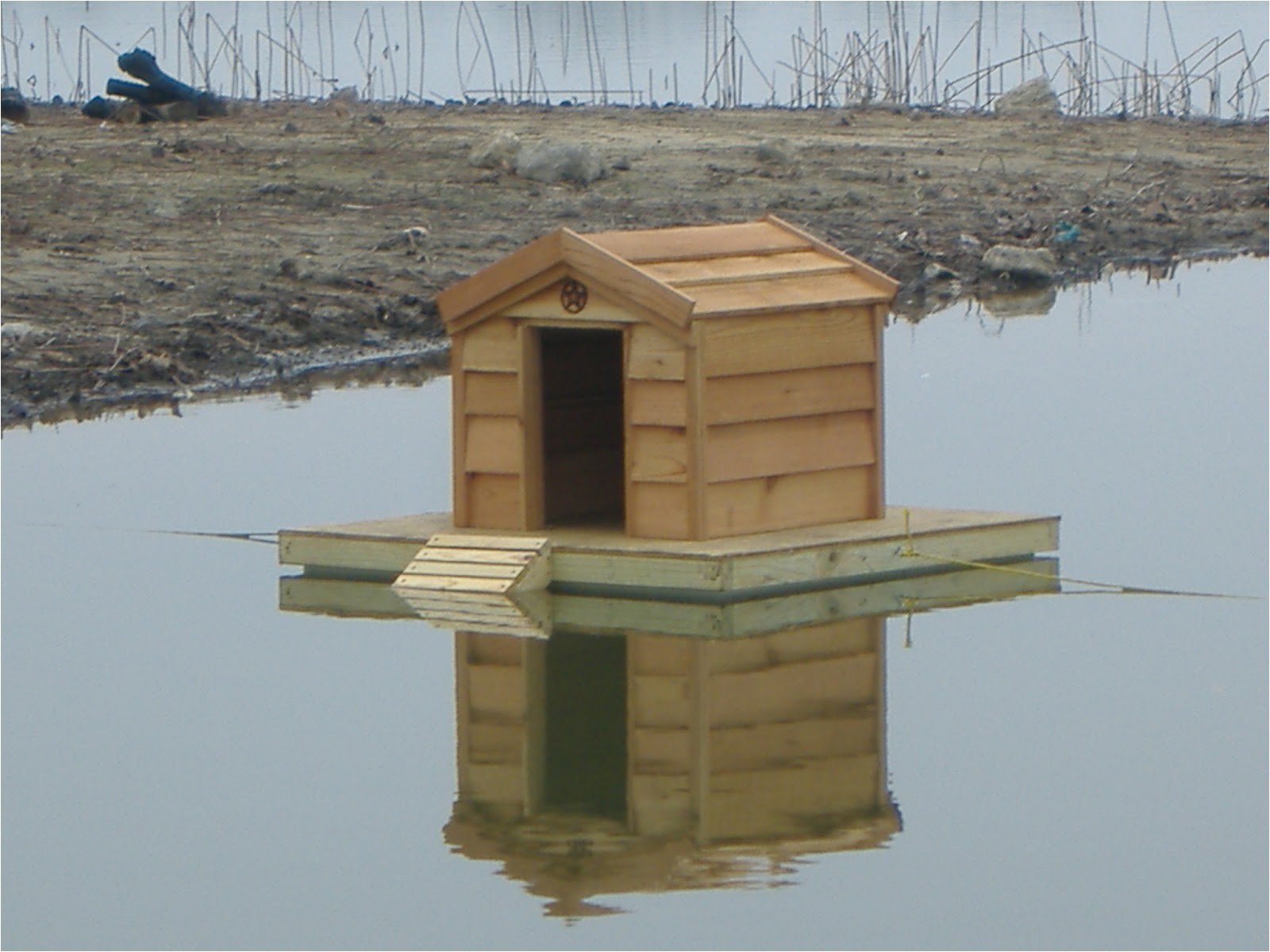 Mallard Duck House Plans Custom Floating Duck Houses Mallard Duck House Plans Custom Floating Duck Houses