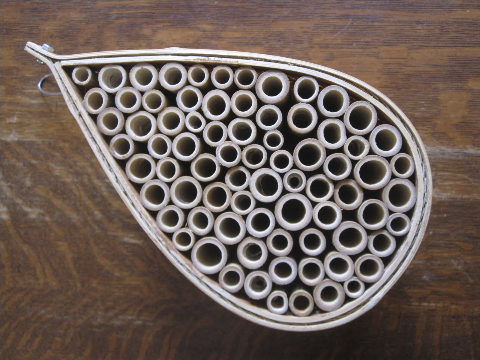 Mason Bee House Plans Bamboo Brown 39 S Downtown Bees Mason Bee Bamboo House Mason Bee House Plans Bamboo Brown 39 S Downtown Bees Mason Bee Bamboo House