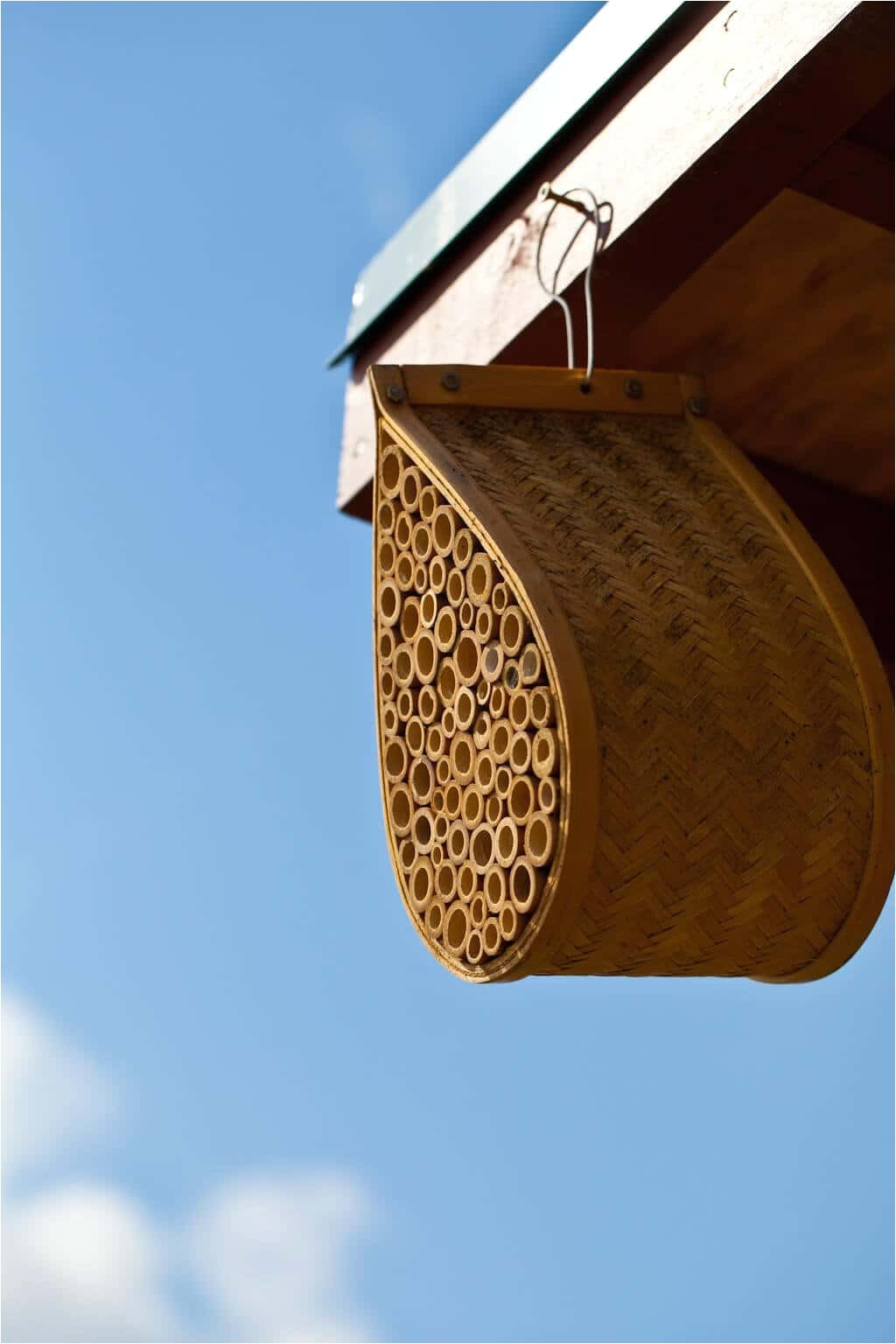 Mason Bee House Plans Bamboo Mason Bee House Steamy Kitchen Recipes Mason Bee House Plans Bamboo Mason Bee House Steamy Kitchen Recipes