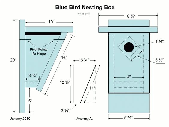 Mountain Bluebird House Plans Eastern Bluebird House Plans Bluebird Nest Box Plans Mountain Bluebird House Plans Eastern Bluebird House Plans Bluebird Nest Box Plans