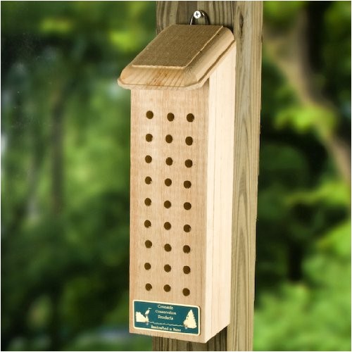Orchard Mason Bee House Plans Useful orchard Mason Bee House Plans Neas Job Orchard Mason Bee House Plans Useful orchard Mason Bee House Plans Neas Job