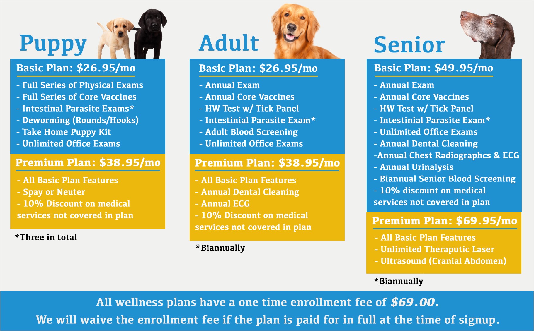 Pets at Home Pet Care Plan Pet Care Plans In Crestwood Ky Crestwood Animal Hospital Pets at Home Pet Care Plan Pet Care Plans In Crestwood Ky Crestwood Animal Hospital