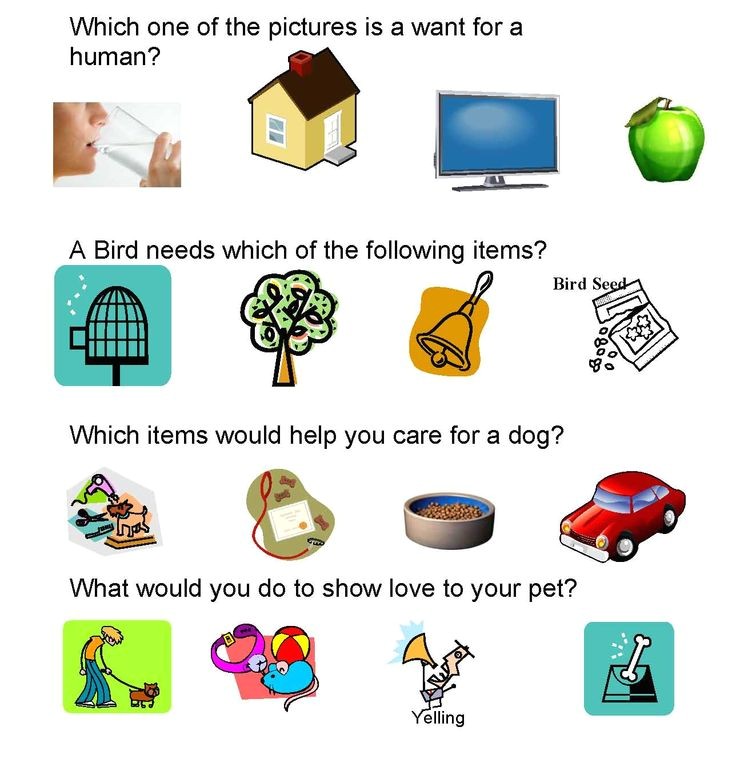 Pets at Home Pet Care Plan Pet Care Safety Lesson Plans Homeschool Pets Pets at Home Pet Care Plan Pet Care Safety Lesson Plans Homeschool Pets