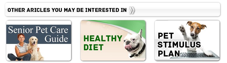 Pets at Home Pet Care Plan Pet Healthcare Plan Pet Supplies Pets at Home Pet Care Plan Pet Healthcare Plan Pet Supplies