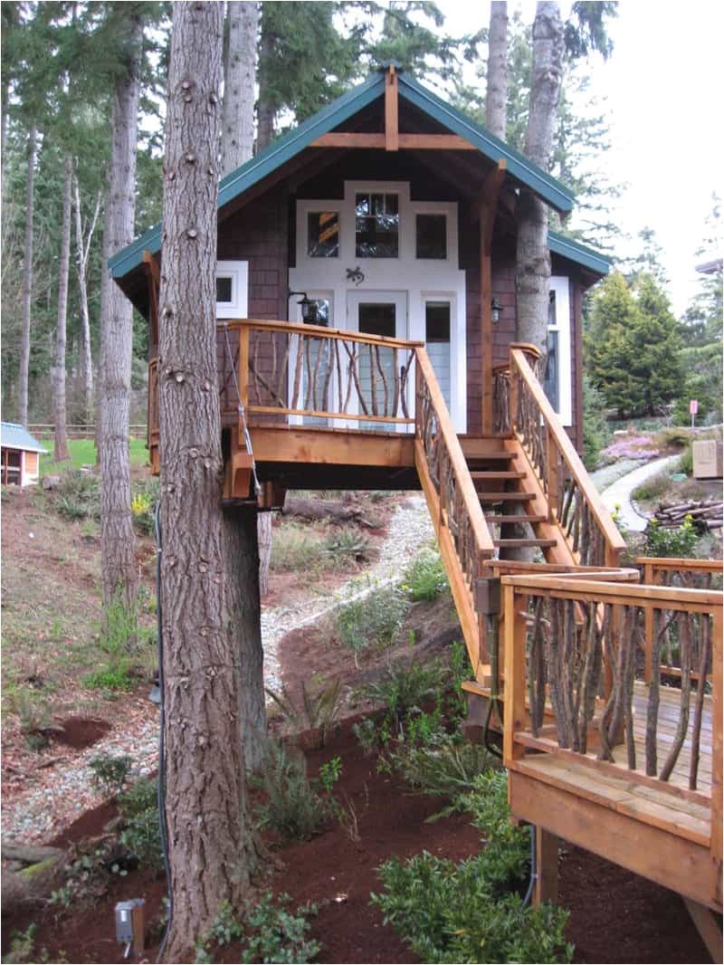 Plans for Building A Tree House How to Build A Treehouse In the Backyard