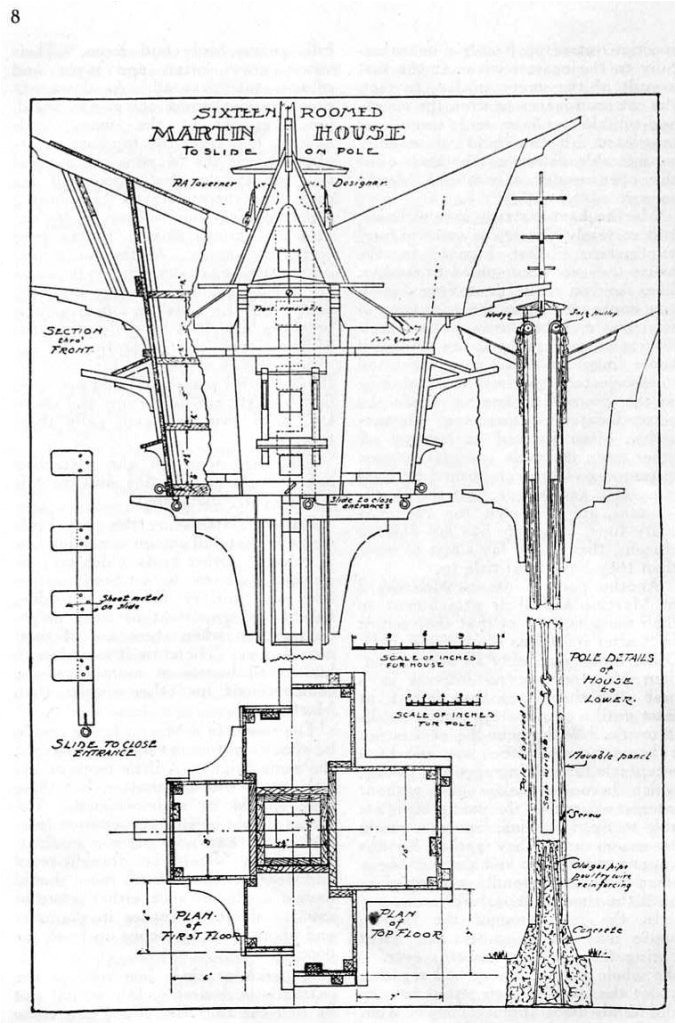 Purple Martin House Plans Free Download Martin Bird House Plans Fresh How to Build A Purple Martin Purple Martin House Plans Free Download Martin Bird House Plans Fresh How to Build A Purple Martin