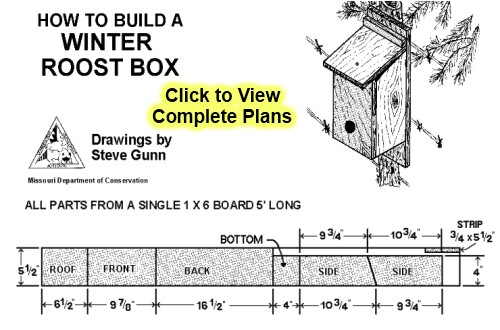 Winter Bird House Plans Barn Swallow Birdhouse Plans Neks