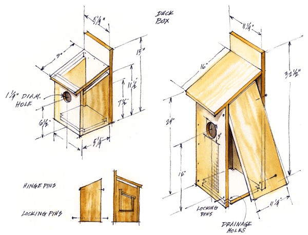Wood Duck House Plans to Build State Parks Getaways Texas Parks and Wildlife E Newsletter Wood Duck House Plans to Build State Parks Getaways Texas Parks and Wildlife E Newsletter