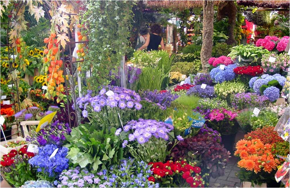 Better Homes and Gardens Flower Garden Plans Una Postal De Primavera Desde Holanda Better Homes and Gardens Flower Garden Plans Una Postal De Primavera Desde Holanda