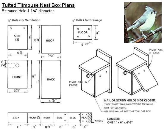 Bird House Plans for Robins Google Image Result for Http Www Coveside Biz Plans Bird House Plans for Robins Google Image Result for Http Www Coveside Biz Plans