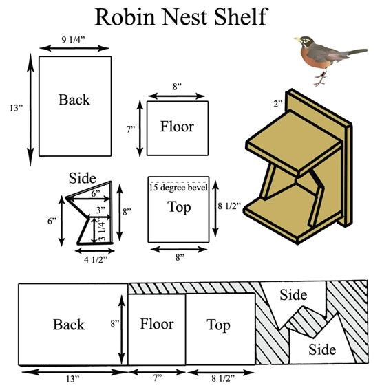 Bird House Plans for Robins Pin by Kelly Phipps On Guides Scouts Pinterest Bird House Plans for Robins Pin by Kelly Phipps On Guides Scouts Pinterest