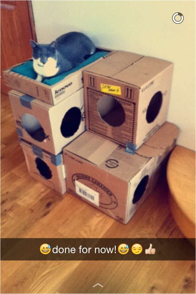 Cardboard Cat House Plans Diy Cat House Made Of Cardboard Boxes Cats Cardboard Cat House Plans Diy Cat House Made Of Cardboard Boxes Cats