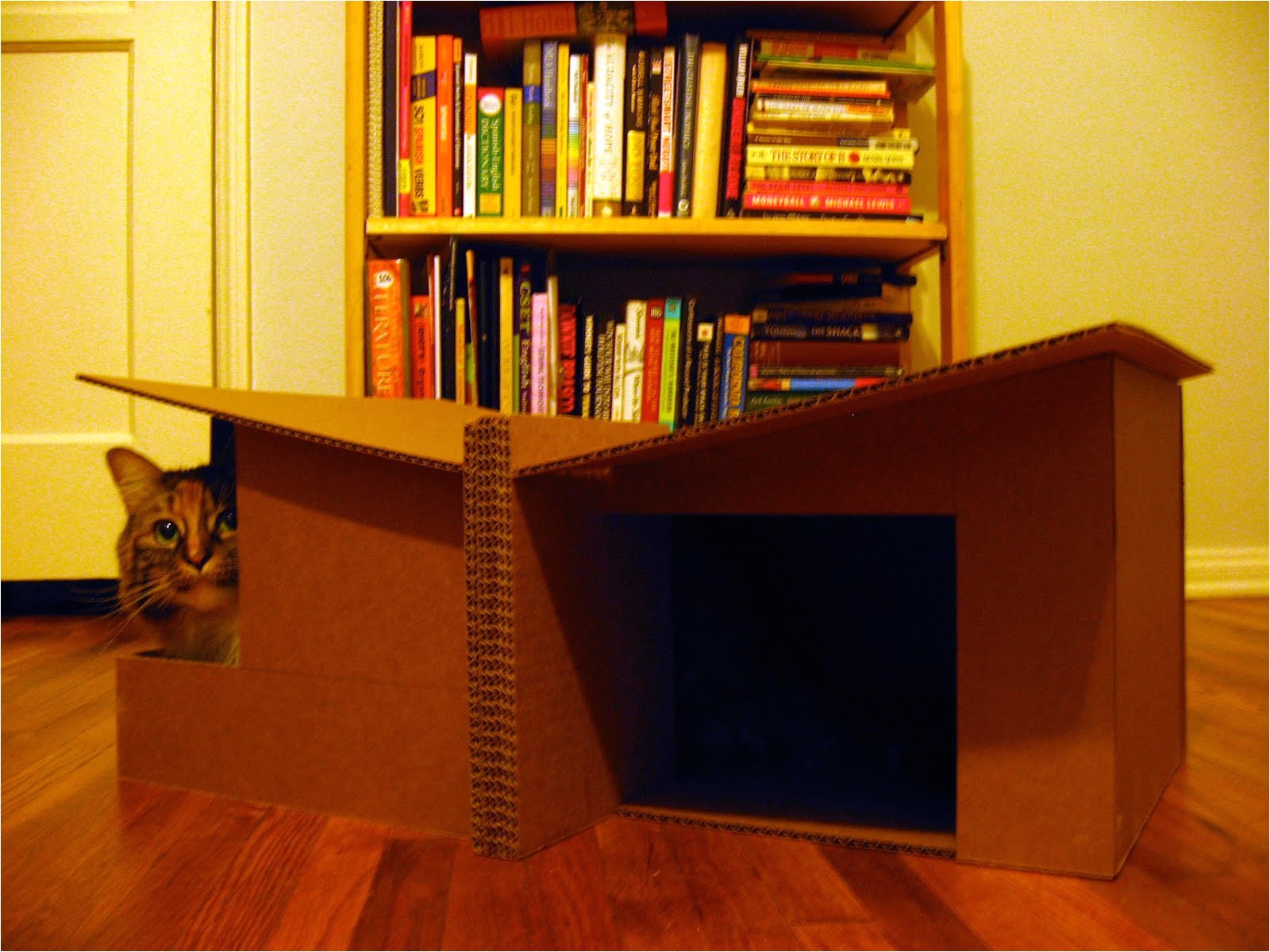 Cardboard Cat House Plans Pdf Diy Cardboard Cat House Plans Download Canoe Bookcase Cardboard Cat House Plans Pdf Diy Cardboard Cat House Plans Download Canoe Bookcase
