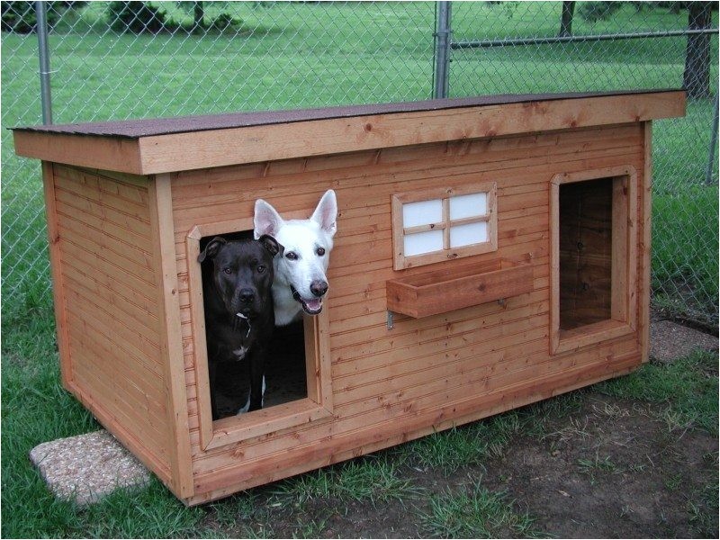 Dog House Plans for Two Large Dogs Free Dog House Plans for 2 Dogs Unique Best 25 Dog House Dog House Plans for Two Large Dogs Free Dog House Plans for 2 Dogs Unique Best 25 Dog House