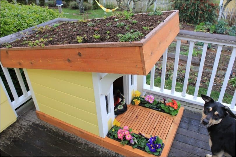 Dog House Plans with Hinged Roof Free Dog House Plans Hinged Roof Dog House Plans with Hinged Roof Free Dog House Plans Hinged Roof