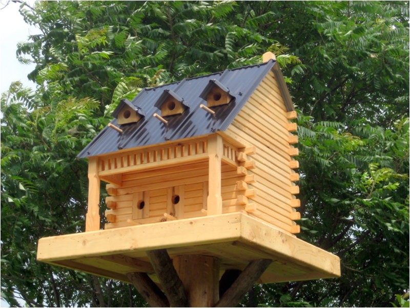 Fancy Bird House Plans Bird Houses the Backyard Naturalist the Backyard Fancy Bird House Plans Bird Houses the Backyard Naturalist the Backyard