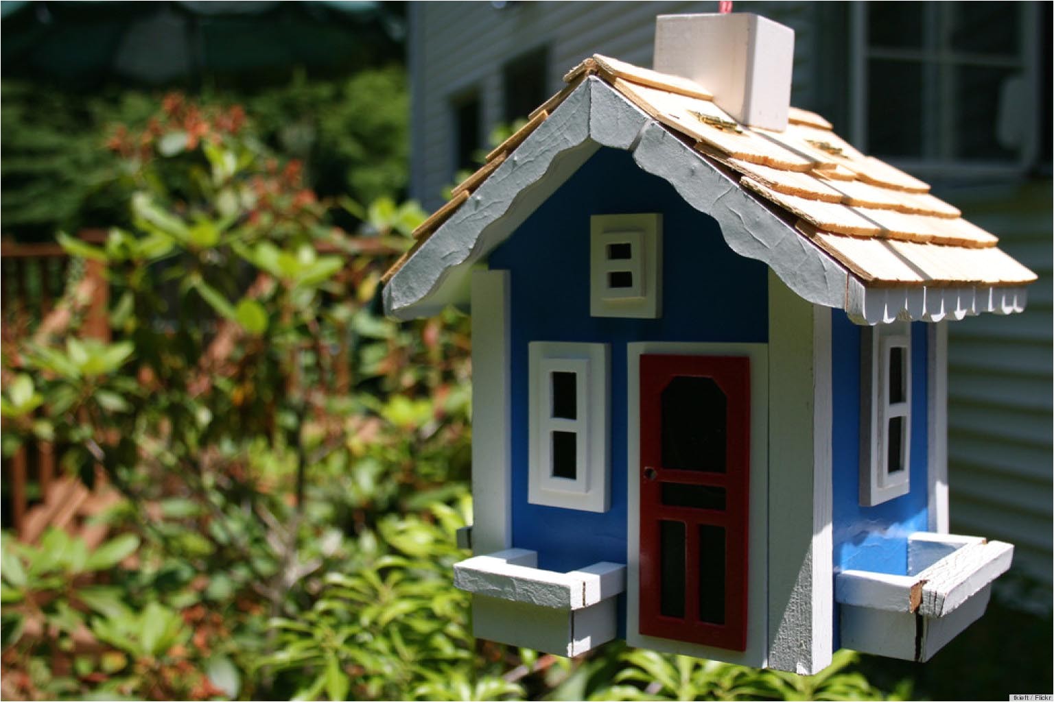 Fancy Bird House Plans Fancy Bird Houses Plans Birdcage Design Ideas Fancy Bird House Plans Fancy Bird Houses Plans Birdcage Design Ideas