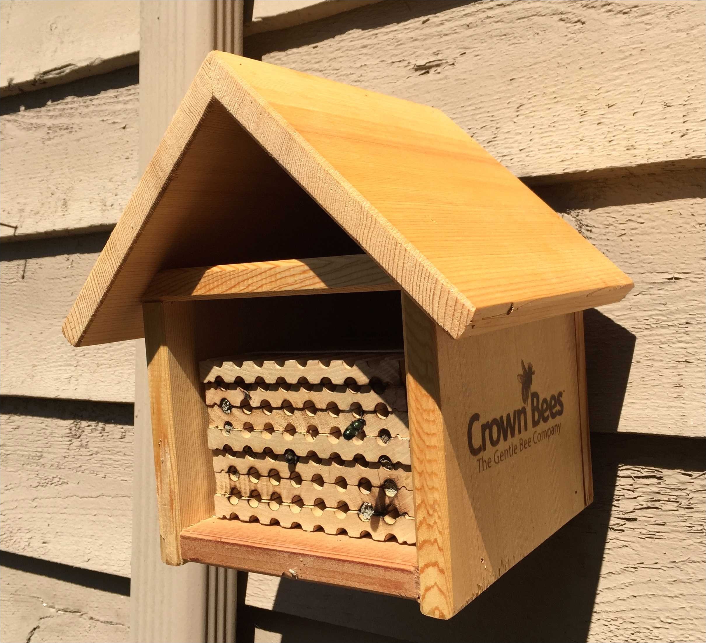 Free Mason Bee House Plans Mason Bee House Plans Beautiful Montana Wildlife Gardener