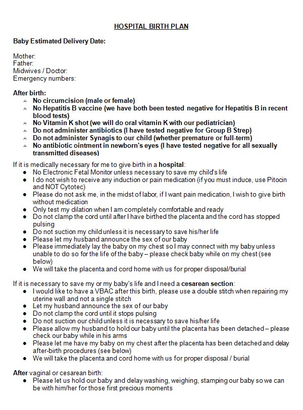 Home Birth Birth Plan 22 Sample Birth Plan Templates Pdf Word Apple Pages Home Birth Birth Plan 22 Sample Birth Plan Templates Pdf Word Apple Pages