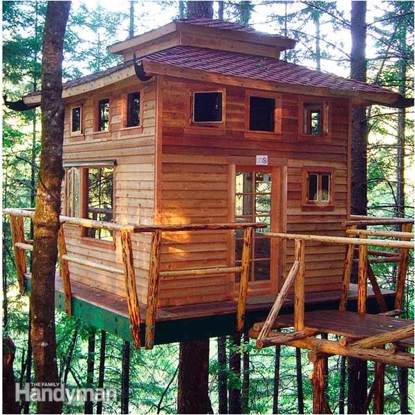 Large Tree House Plans How to Build A Tree House Building Tips the Family Large Tree House Plans How to Build A Tree House Building Tips the Family
