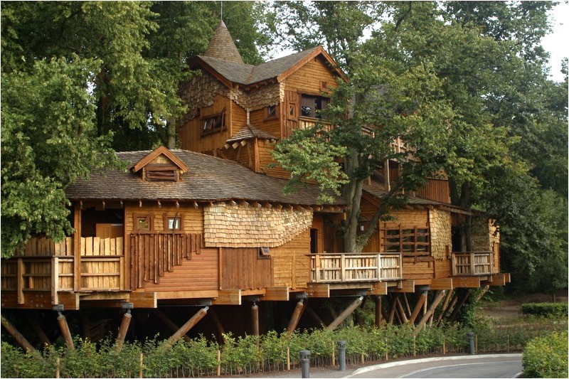 Large Tree House Plans What is Glamping Discover Glamping