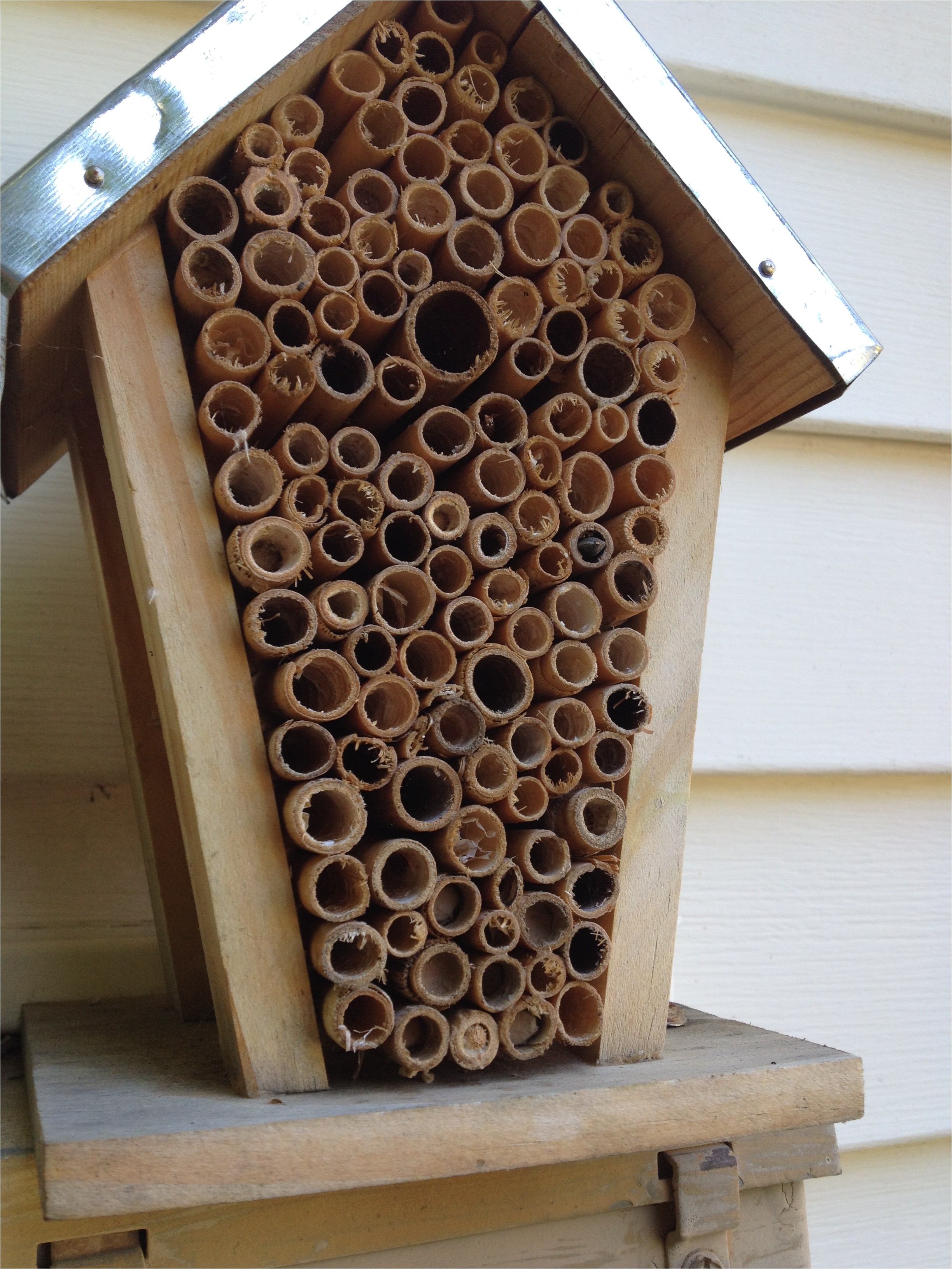 Plans for Building A Mason Bee House Free Mason Bee House Plans Plans for Building A Mason Bee House Free Mason Bee House Plans