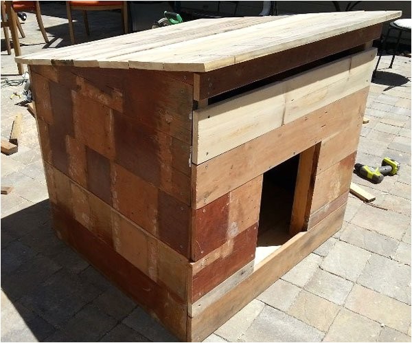 Simple Large Dog House Plans Diy Dog House for Beginner Ideas Build Plans Large Dogs D Simple Large Dog House Plans Diy Dog House for Beginner Ideas Build Plans Large Dogs D