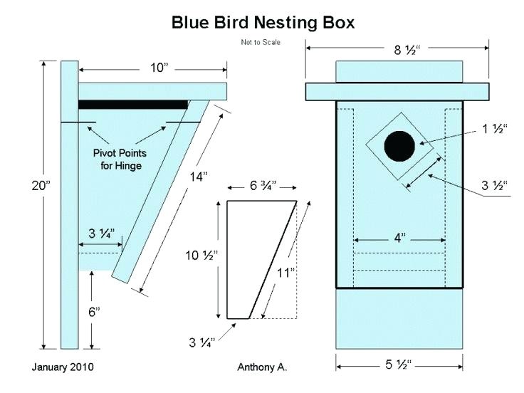 Sparrow Resistant Bluebird House Plans Bluebird House Plans Simplir Me Sparrow Resistant Bluebird House Plans Bluebird House Plans Simplir Me