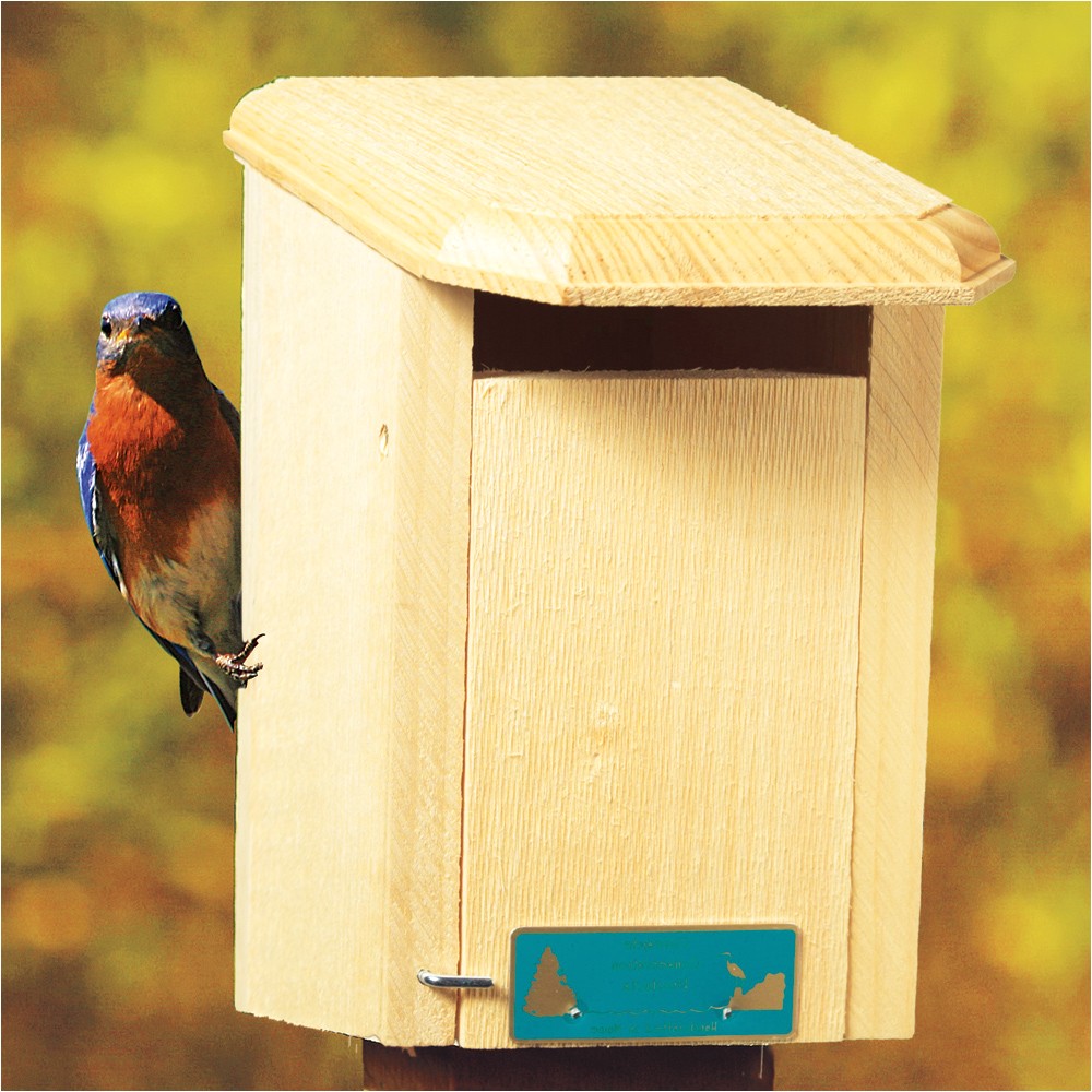 Sparrow Resistant Bluebird House Plans Sparrow Resistant House Sparrow Resistant Bluebird House Plans Sparrow Resistant House