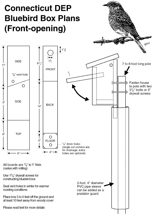 Swallow Bird House Plans Tree Swallow Birdhouse Plans Swallow Bird House Plans Tree Swallow Birdhouse Plans