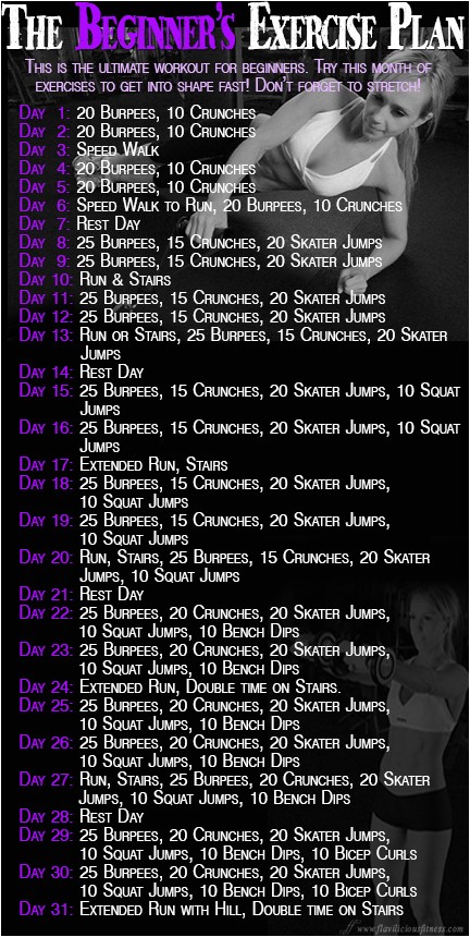 Work Out Plan for Beginners at Home Workout Wednesday the Beginner 39 S Exercise Plan Work Out Plan for Beginners at Home Workout Wednesday the Beginner 39 S Exercise Plan