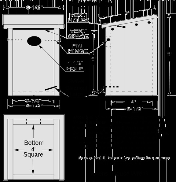 Wren House Plans Pdf Pdf Diy Wren House Plans Download Workbench Shelf Plans Wren House Plans Pdf Pdf Diy Wren House Plans Download Workbench Shelf Plans