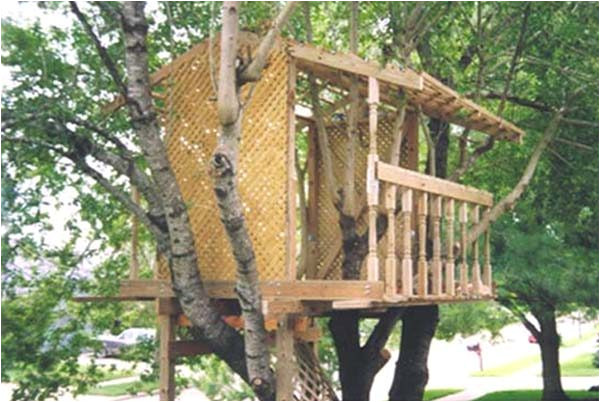 Adult Tree House Plans 30 Diy Tree House Plans Design Ideas for Adult and Kids Adult Tree House Plans 30 Diy Tree House Plans Design Ideas for Adult and Kids