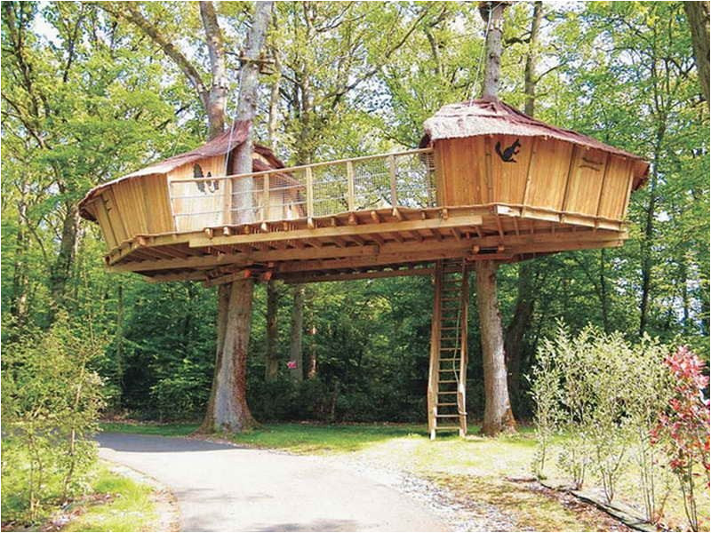 Adult Tree House Plans Adult Tree House Plans Best Of Outdoor Awesome Treehouse Adult Tree House Plans Adult Tree House Plans Best Of Outdoor Awesome Treehouse