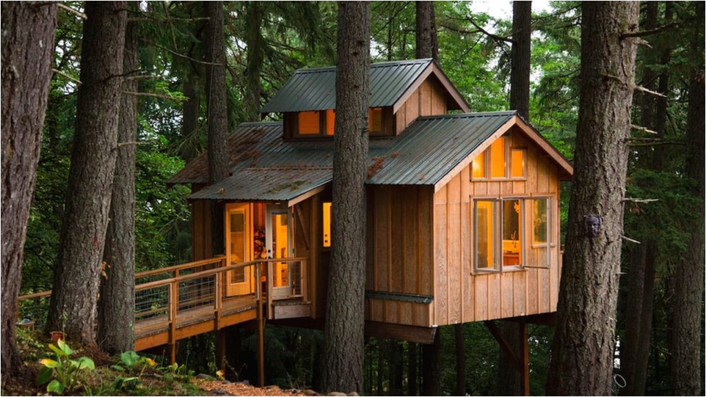 Adult Tree House Plans Adult Tree House Plans New Adults who Live In Treehouses Adult Tree House Plans Adult Tree House Plans New Adults who Live In Treehouses