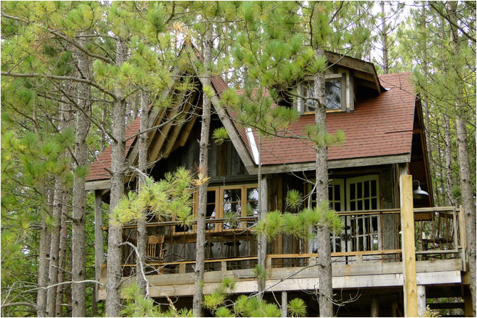 Adult Tree House Plans Ideal World Everyone Should Have An Adult Tree House Adult Tree House Plans Ideal World Everyone Should Have An Adult Tree House