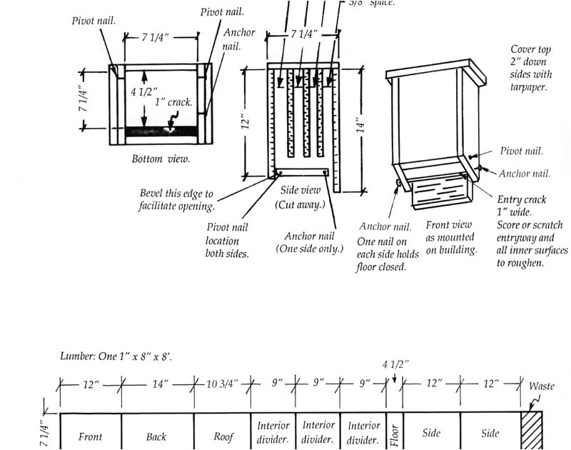 Bat House Plans Minnesota Cool Bat House Plans Mn Gurawood Bat House Plans Minnesota Cool Bat House Plans Mn Gurawood