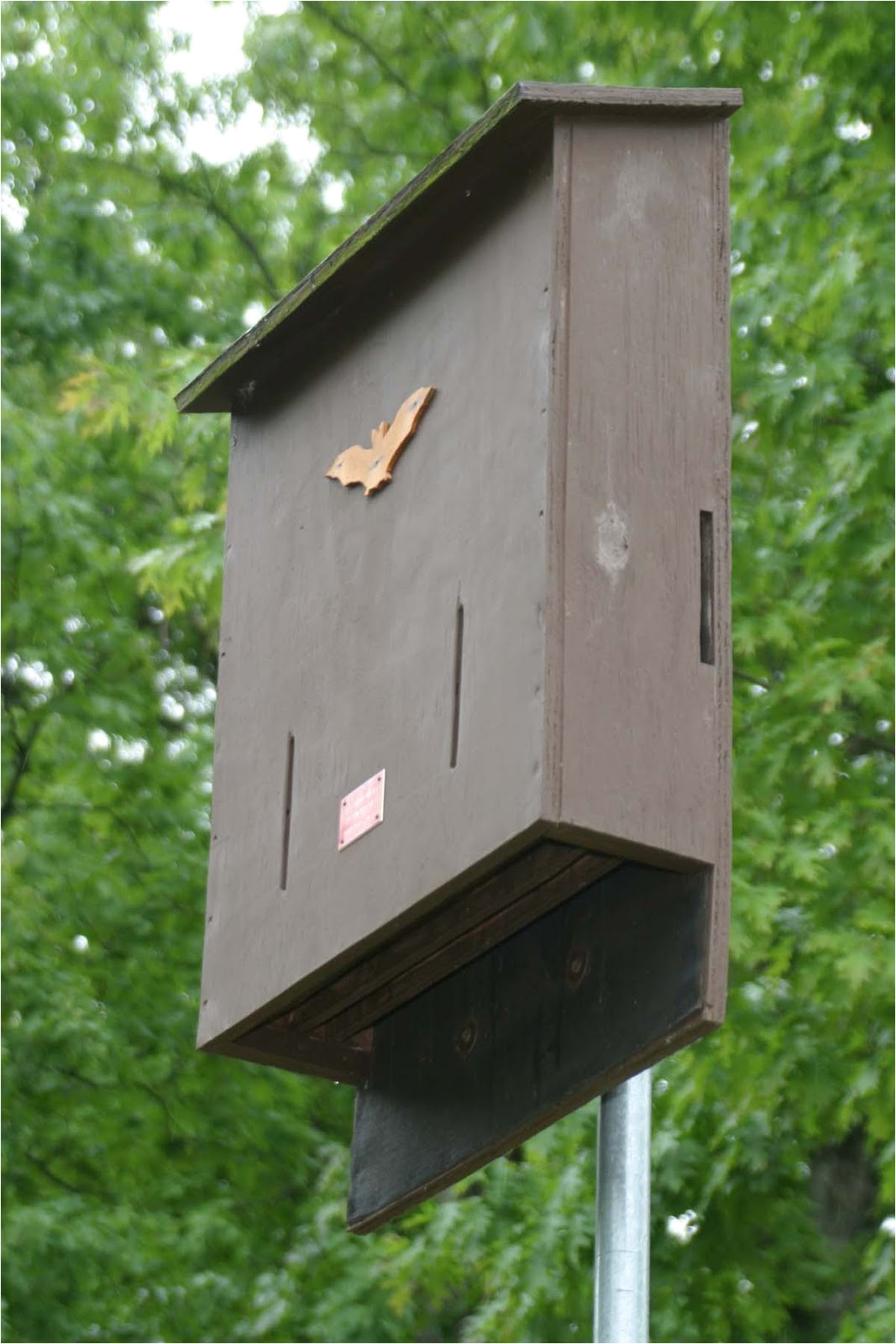 Bat House Plans Minnesota Mn Dnr Bat House Plans House Design Plans Bat House Plans Minnesota Mn Dnr Bat House Plans House Design Plans
