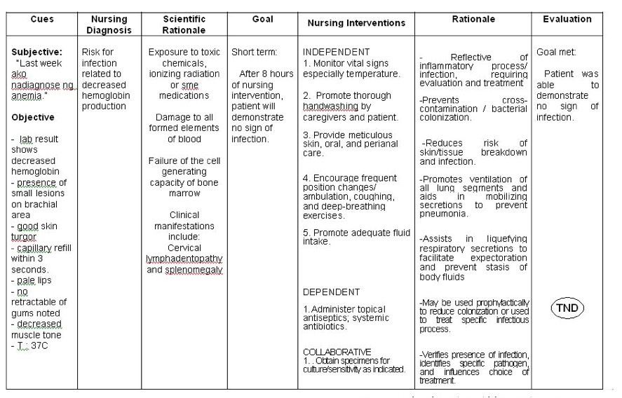 Care Plan for Home Care Strict Adherence to Patient Care Plans Necessary for Safe Care Plan for Home Care Strict Adherence to Patient Care Plans Necessary for Safe