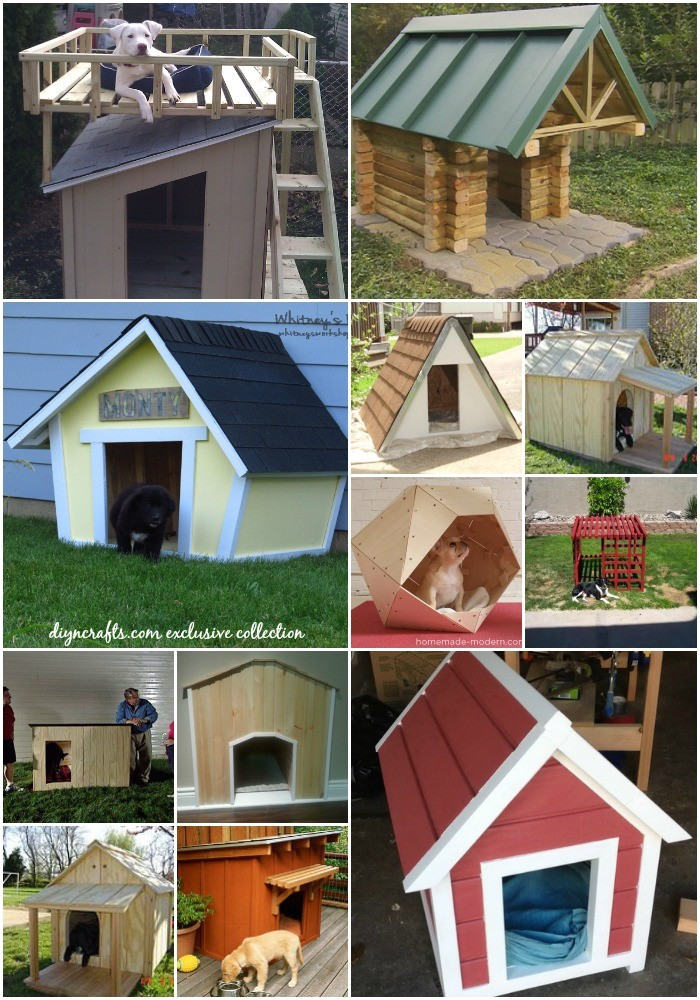 Dog House Project Plans 20 Brilliant Diy Dog Houses to Shelter Your Furry Friends Dog House Project Plans 20 Brilliant Diy Dog Houses to Shelter Your Furry Friends