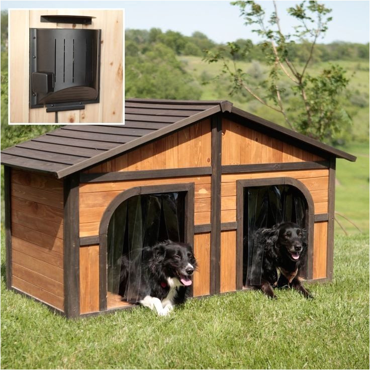 Great Dane Dog House Plans Great Dane Dog House Plans Best Of Best 25 Extra Large Dog Great Dane Dog House Plans Great Dane Dog House Plans Best Of Best 25 Extra Large Dog