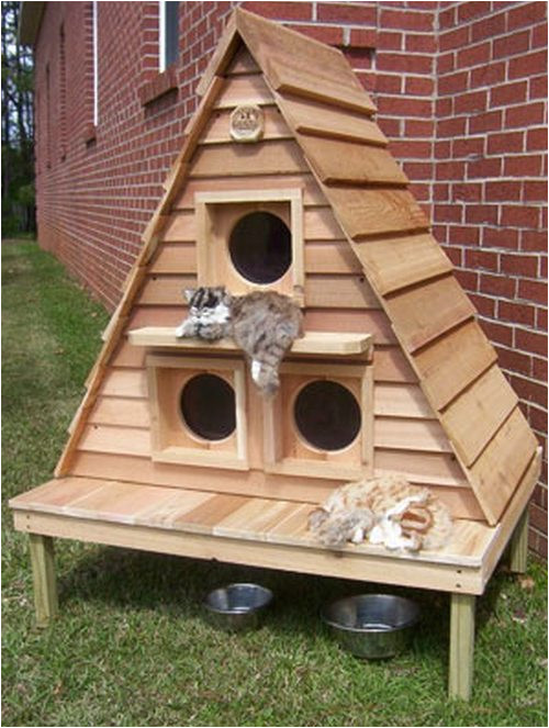 Heated Cat House Plans Domiki Dlya Koshek Dom Mechty Heated Cat House Plans Domiki Dlya Koshek Dom Mechty