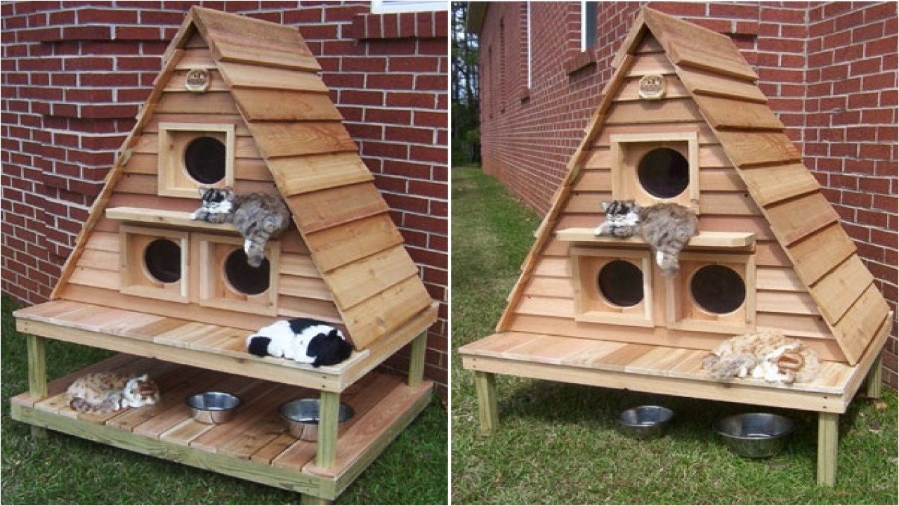 Heated Cat House Plans Insulated Outdoor Cat Houses Multiple Outdoor Cat House