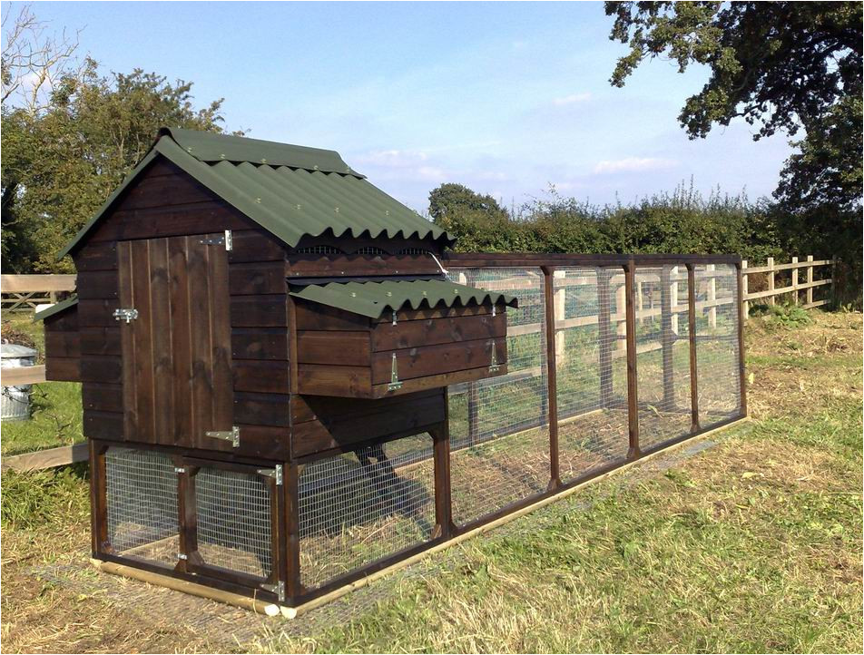 Hen House Building Plans Advantages Of A Large Chicken Coop Chicken Coop How to Hen House Building Plans Advantages Of A Large Chicken Coop Chicken Coop How to